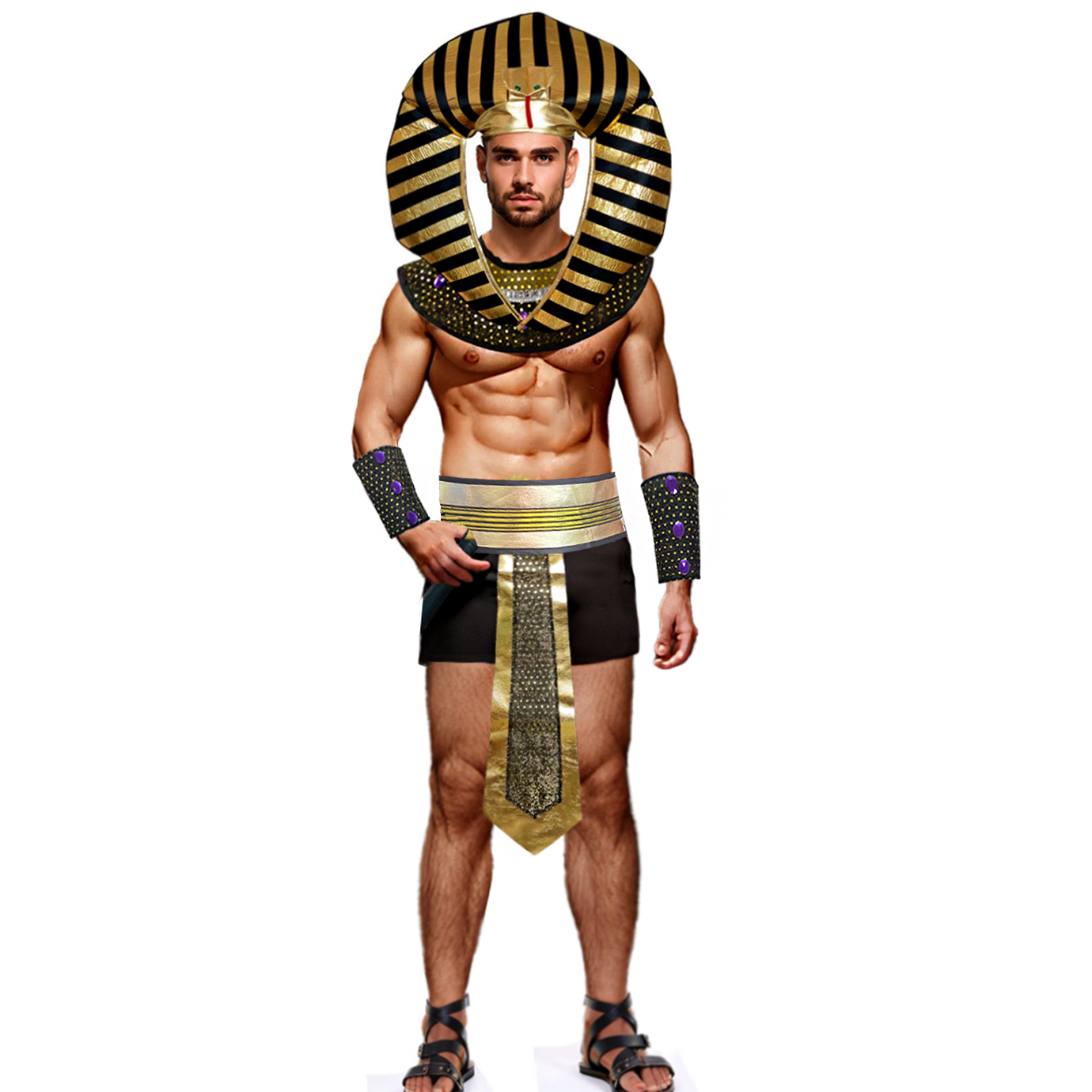 Carnaval mannenkostuum Egyptis - Men Accessories Egypt recensie en prijs